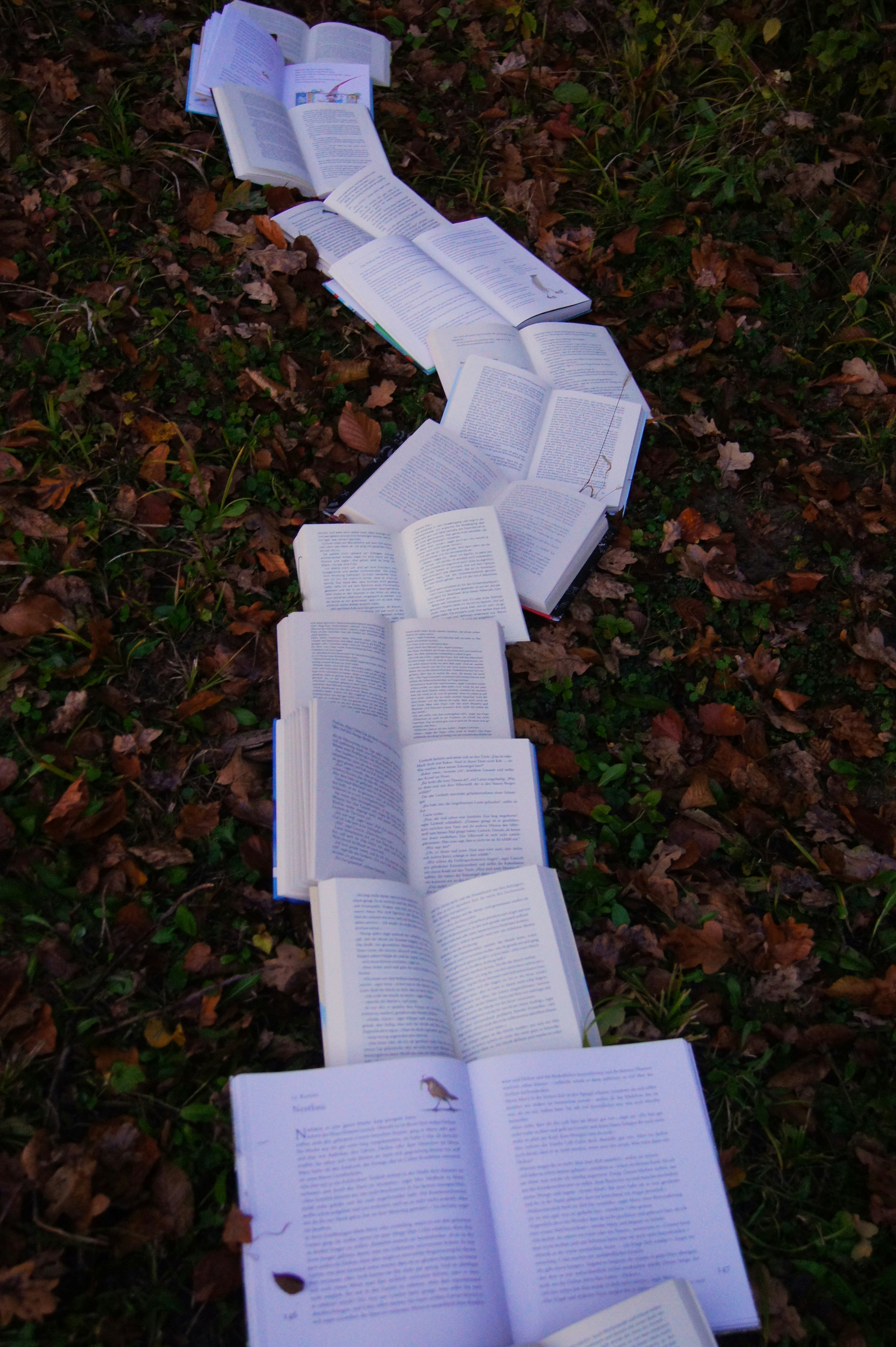 <figcaption>proposal of book</figcaption>